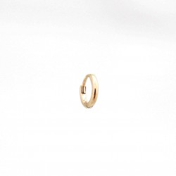 Rond PM Earring